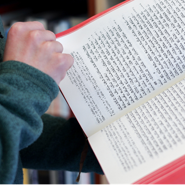 Teologistudier med hebraisk