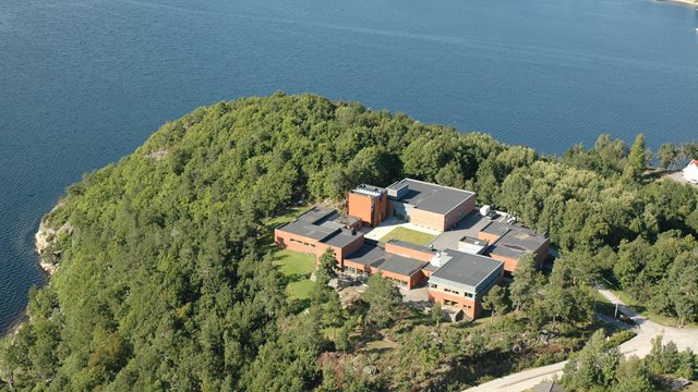 For første i gang i høyskolens historie er det hele fire phd-prosjekter pågående