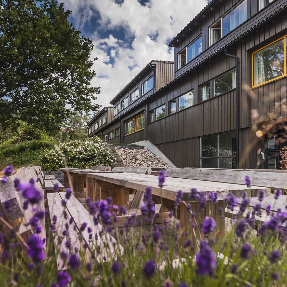 ansgar-sommerhotell-2022-20