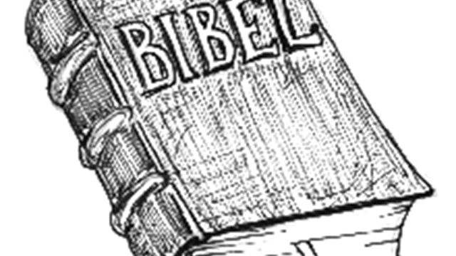 Ny Bibel, nye perspektiver