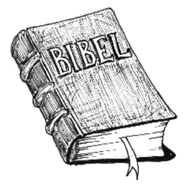 Ny Bibel, nye perspektiver