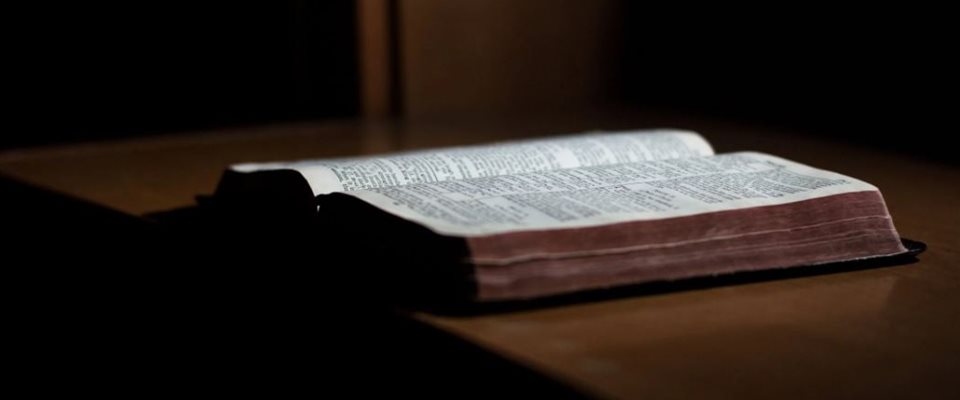 TEOL131-NETT Innføring i Bibelen