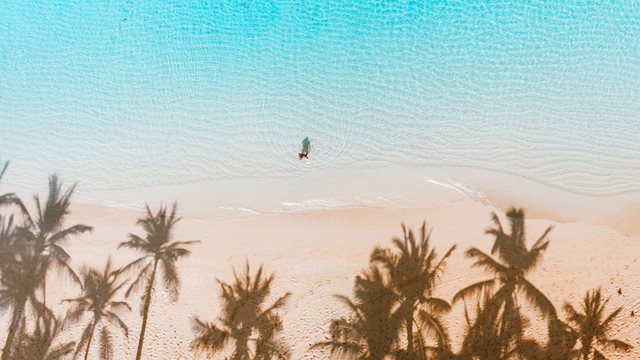 Bli utvekslingsstudent!