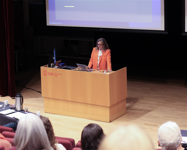 skjermbilde-2025-11-27-kl.-14.51.39